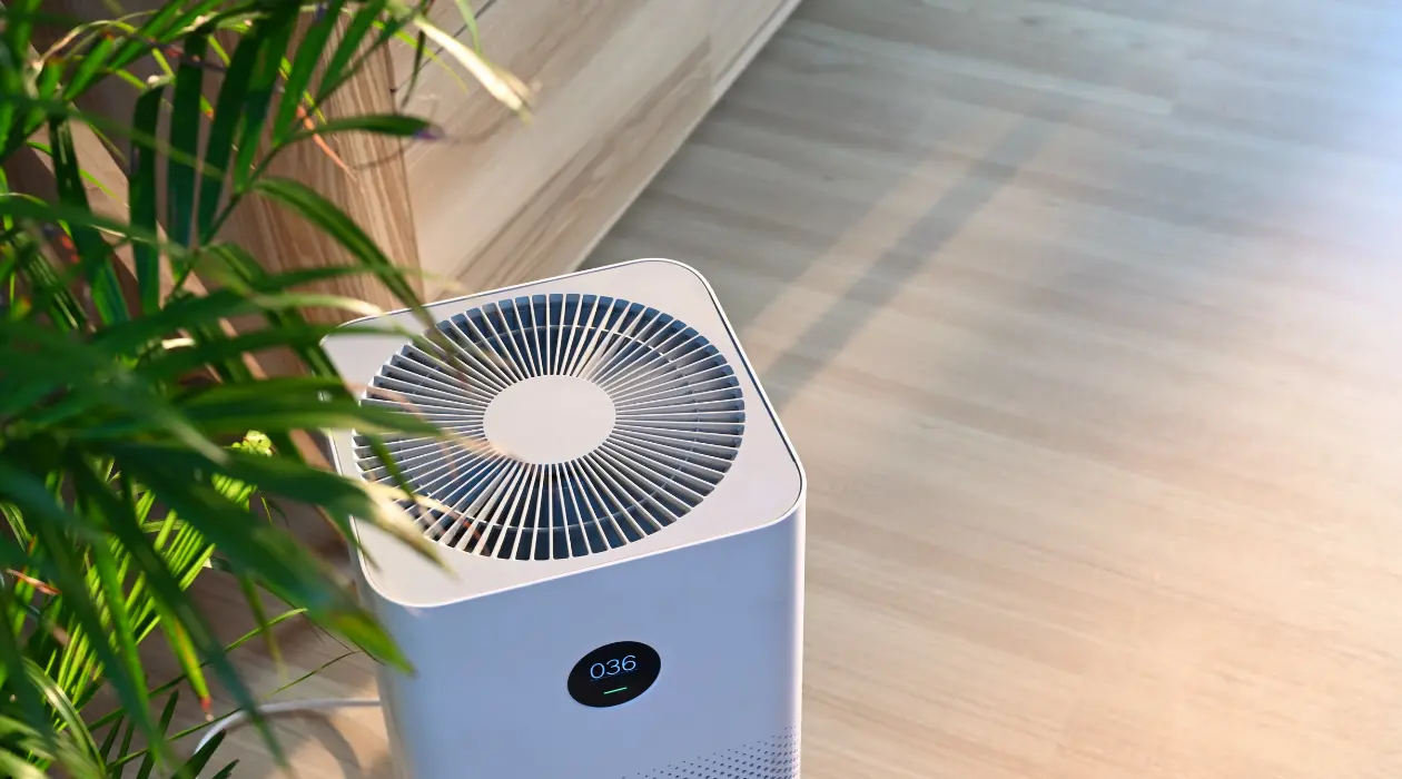 Indoor Air Quality Dehumidifier