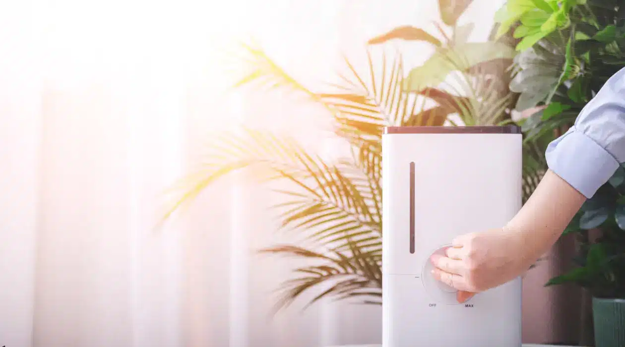 Indoor Air Quality Dehumidifier